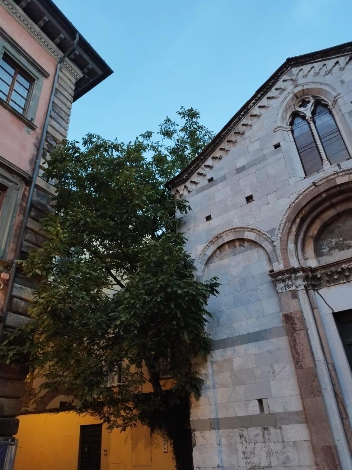 The Tuscanian 4* Lucca